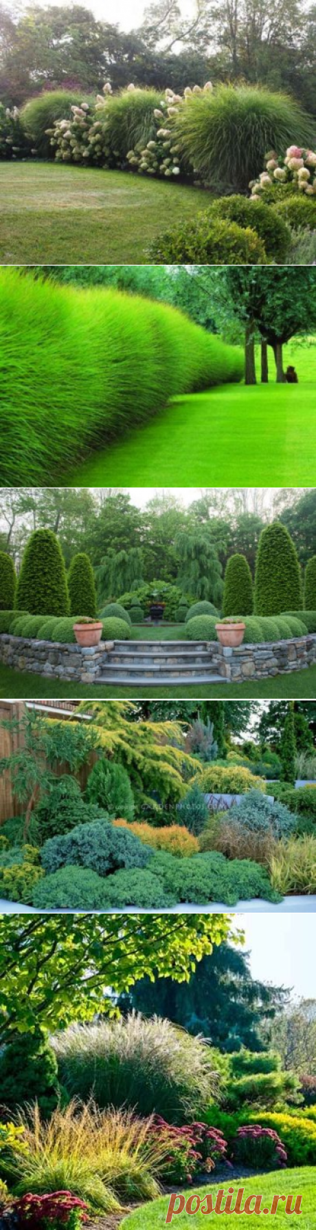 100 Wonderful Evergreen Grasses Landscaping Ideas - DecOMG