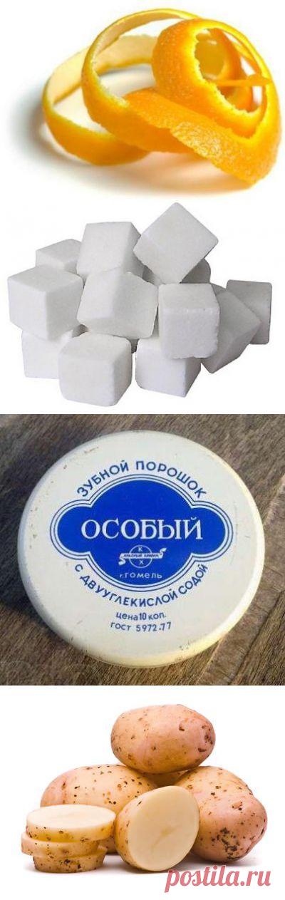 ПОЛЕЗНЫЕ СОВЕТЫ САДОВОДАМ | ДОМАШНИЙ ОЧАГ