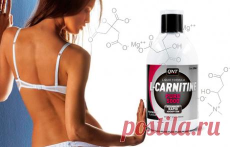L-Карнитин для похудения - нужен ли?