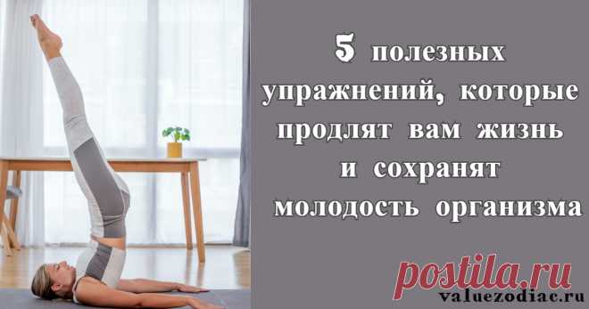 5 полезных упражнений, которые продлят вам жизнь и сохранят молодость организма Вибрационные упражнения – лучший способ продлить жизнь. Представляем вам совокупность полезных упражнений, которые вы можете выполнять утром: