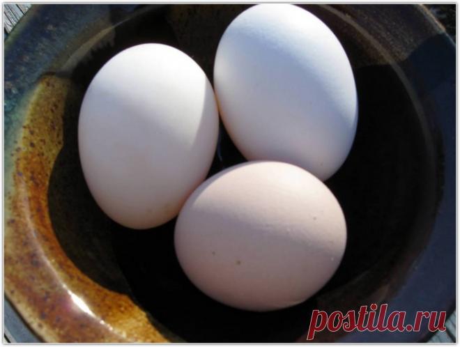 Крещенское выкатывание на три яйца - Общество Тайных Знаний