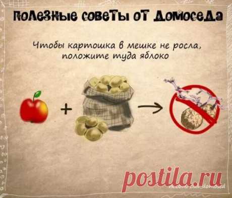 полезные советы на все случаи жизни: 14 тыс изображений найдено в Яндекс.Картинках