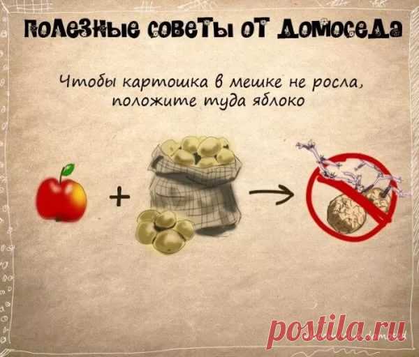 полезные советы на все случаи жизни: 14 тыс изображений найдено в Яндекс.Картинках