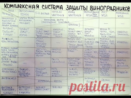 Схема обработки виноградных кустов от болезней, от Агромагазина Фазенда