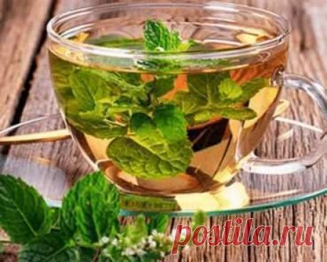 Метеоризм, боли и вздутие живота: 3 мощных средства для устранения!
Вы быстро избавитесь от болей в животе и проблем с пищеварением! Боль в животе — это одна из самых распространенных болей, которые мы все испытывали в определённое время нашей жизни. Особенно важно определить причину, которая вызывает это состояние, при поиске правильного лечения. Эти боли могут сопровождаться вздутием живота,...
Читай дальше на сайте. Жми подробнее ➡