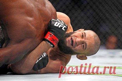 Чимаеву предсказали тройное чемпионство в UFC. Бывший боец UFC Майкл Биспинг предсказал шведу чеченского происхождения Хамзату Чимаеву тройное чемпионство. «У него было шесть боев в UFC. Если не считать поединка с Гилбертом Бернсом, он пропустил только два удара. Я думаю, что он может стать чемпионом в трех весовых категориях», — заявил Биспинг.