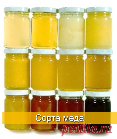 Характеристика видов и сортов меда - БиоКорова