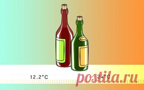 Как хранить бутылку вина в домашних условиях: 5 практических вариантов