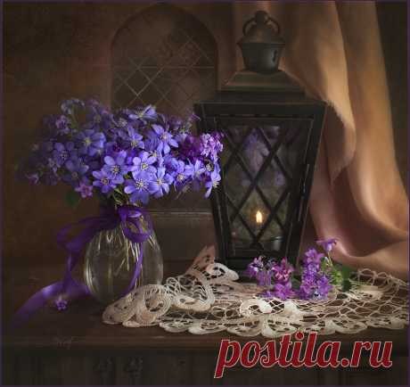Фото жизнь - Luiza Gelts - Still Lifes - Hepatica