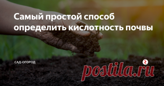 Самый простой способ определить кислотность почвы Вот и настала осень, которая несёт с собой новую порцию работ на участке, таких как сбор урожая, перекопка почвы и внесение удобрений. К тому же раз в 2-3 года почву нужно обильно раскислять, так как кислую почву любит мало растений в огороде.
А вот нужно ли вам раскислять почву определяем простым, но действенным способом.