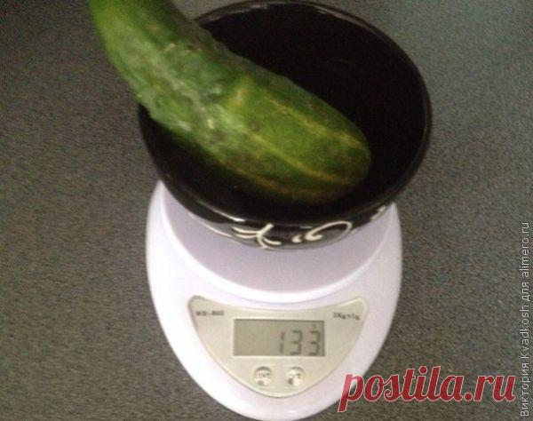 5 вещей для контроля веса | Самоделкино