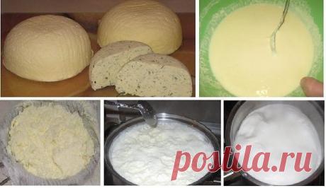 Вкусный и полезный сыр сулугуни, готовится быстро и просто дома!  Только польза!