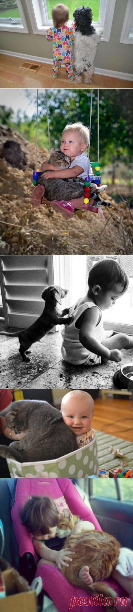 Дети и животные говорят на одном языке. Этот язык сердца самый чистый и понятный...