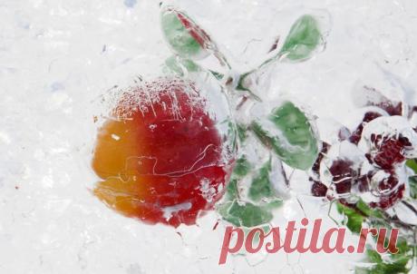 10 ПРОДУКТОВ, КОТОРЫМ СОВЕРШЕННО НЕ ВРЕДИТ ЗАМОРОЗКА
Как можно отличить хорошего хозяина от плохого? Пока первый способен смотреть в перспективу, второй все пускает на самотек. Делать запасы еды — это практично и рационально, и забитые провизией холодильник и шкафы не обязательно должны сообщать всем, что вы готовитесь к блокаде. Типичная для многих бытовая ситуация — встретить на полке любимый, но такой редкий продукт, […]
Читай пост далее на сайте. Жми ⏫ссылку выше