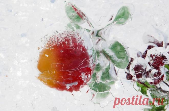 10 ПРОДУКТОВ, КОТОРЫМ СОВЕРШЕННО НЕ ВРЕДИТ ЗАМОРОЗКА
Как можно отличить хорошего хозяина от плохого? Пока первый способен смотреть в перспективу, второй все пускает на самотек. Делать запасы еды — это практично и рационально, и забитые провизией холодильник и шкафы не обязательно должны сообщать всем, что вы готовитесь к блокаде. Типичная для многих бытовая ситуация — встретить на полке любимый, но такой редкий продукт, […]
Читай пост далее на сайте. Жми ⏫ссылку выше