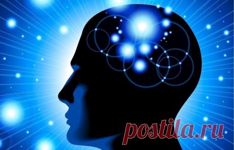 5 книг, которые полезней диплома MBA