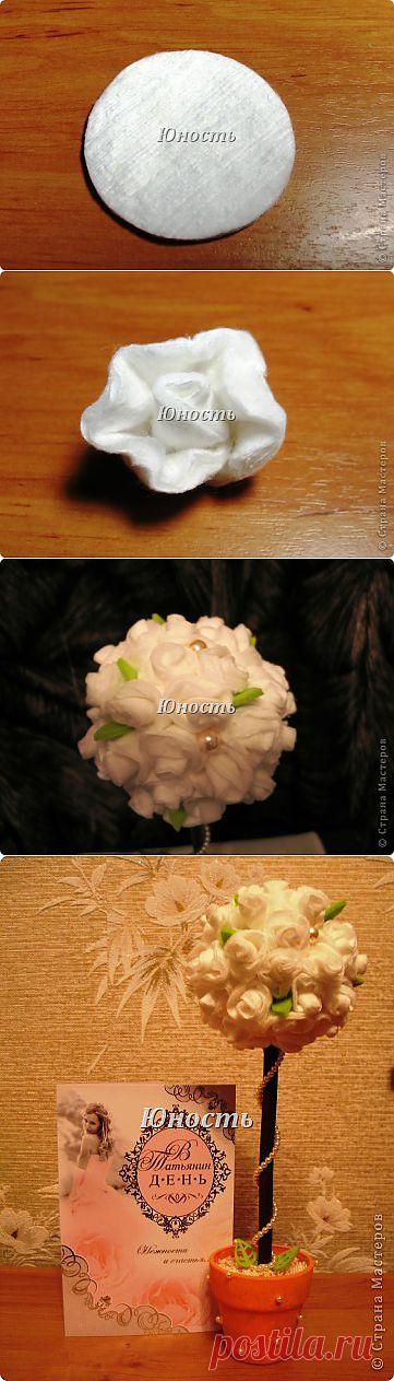 Топиарий из ватных дисков+мини МК. | Страна Мастеров
