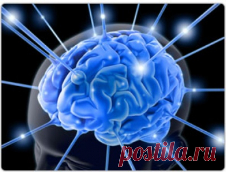 Способы заставить работать мозг на 100%. Улучшение работы мозга. - Саморазвитие, успех - Жизнь на все 100%