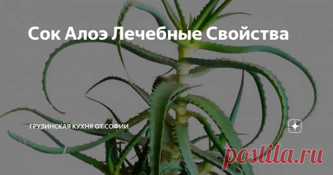 Сок Алоэ Лечебные Свойства О терапевтическом эффекте алоэ знают все. Это и ускорение обмена веществ, и уничтожение болезнетворных бактерий, вирусов, нормализация эндокринной системы, укрепление иммунитета и многое-многое другое...
Видео рецепт
Как приготовить:
Алоэ мы выращиваем сами в домашних условиях. А используем только по достижению возраста растения 3 лет. И периодически, что бы поддержать здоровье, пьем сок алоэ. Но