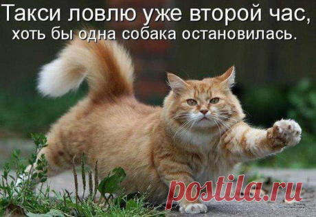 VeCCN3OGBxQ.jpg (600×412)