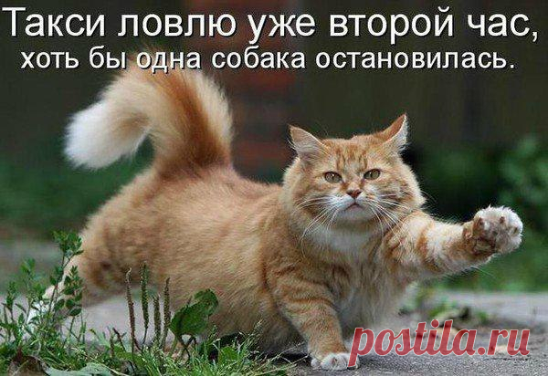 VeCCN3OGBxQ.jpg (600×412)