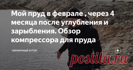 Мой пруд в феврале , через 4 месяца после углубления и зарыбления. Обзор компрессора для пруда
