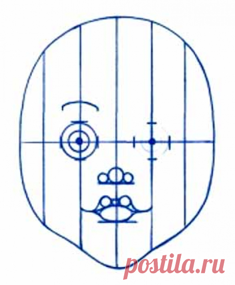 Пропорции лица