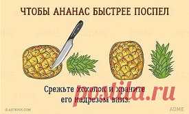 10 бесценных советов, которые облегчат жизнь на кухне