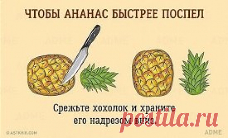 10 бесценных советов, которые облегчат жизнь на кухне
