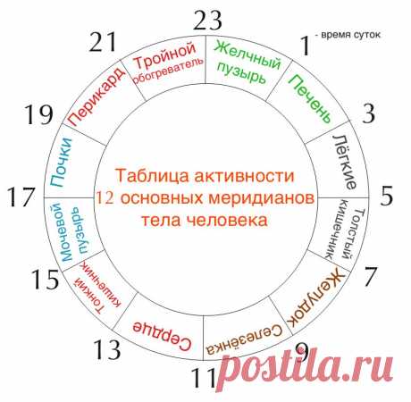 Суточная активность внутренних органов человека 

С точки зрения китайской медицины энергия циркулирует по системе меридианов в соответствии с суточным ритмом. Кругооборот энергии начинается с меридиана лёгких. Энергия последовательно проходит все 12 меридианов за 24 часа.
Показать полностью…