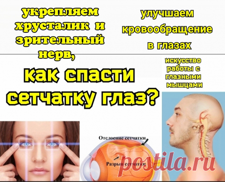 Зрение: вредные "махи" глазами, полезные упражнения. Укрепляем сетчатку, хрусталик, нервы и сосуды | Причины Здоровья | Дзен