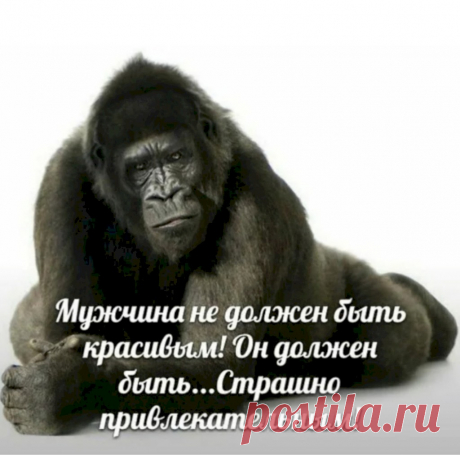 Выпуск №6584 - выпуск анекдотов сайта вокруг смеха