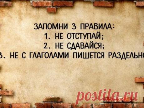 Интеллектуально-юмористические открытки