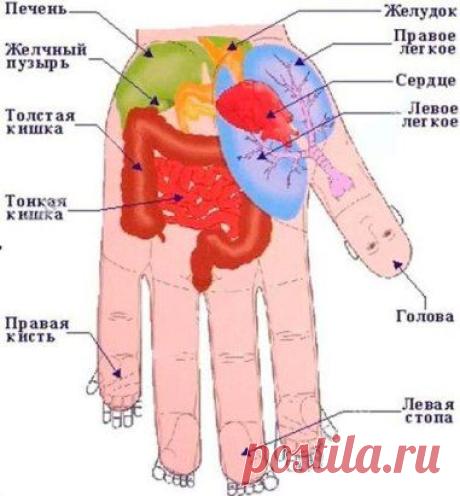 (62) Одноклассники