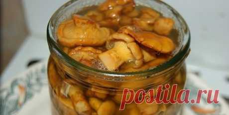 Вкусные рецепты