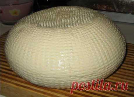 Лучшие кулинарные рецепты: Домашний сыр из творога
