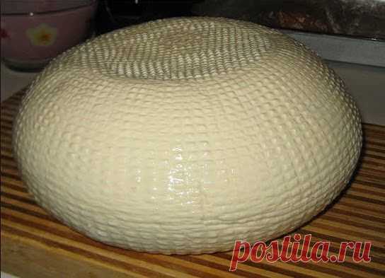 Лучшие кулинарные рецепты: Домашний сыр из творога