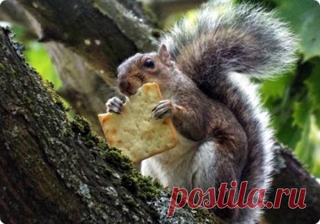 Мой Мир@Mail.Ru