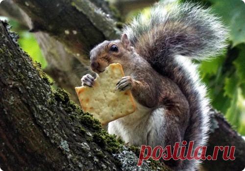 Мой Мир@Mail.Ru