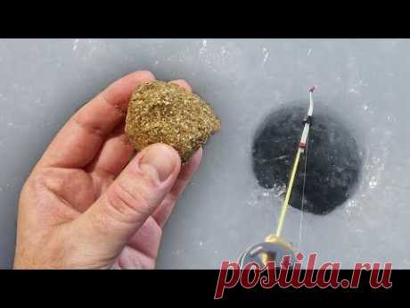 ЛУЧШАЯ ЗИМНЯЯ ПРИКОРМКА ДЛЯ РЫБАЛКИ, АВТОРСКИЙ РЕЦЕПТ ОТ КАНАЛА АВТОРСКАЯ ПРИКОРМКА