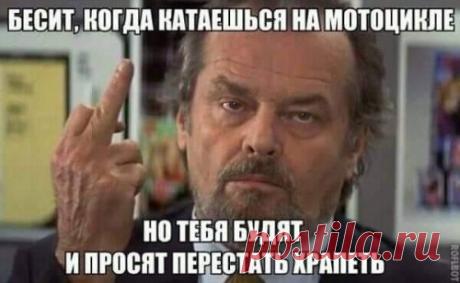 Прикольные картинки летним днем (33 шт) . Тут забавно !!!