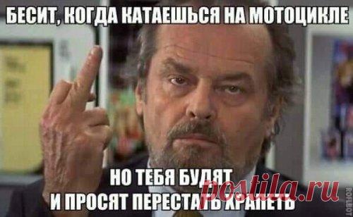 Прикольные картинки летним днем (33 шт) . Тут забавно !!!