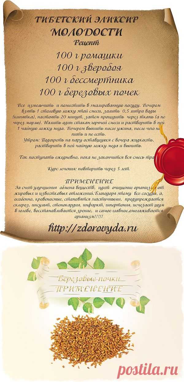 берёзовые почки применение | Блог о красоте и здоровье