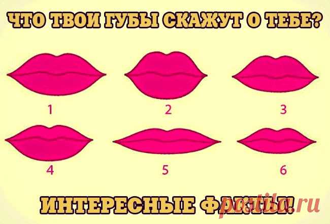 Всё самое интересное!: ЧТО ТВОИ ГУБЫ СКАЖУТ О ТЕБЕ? ИНТЕРЕСНЫЕ ФАКТЫ!