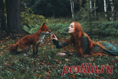 [ЛИСЫ]