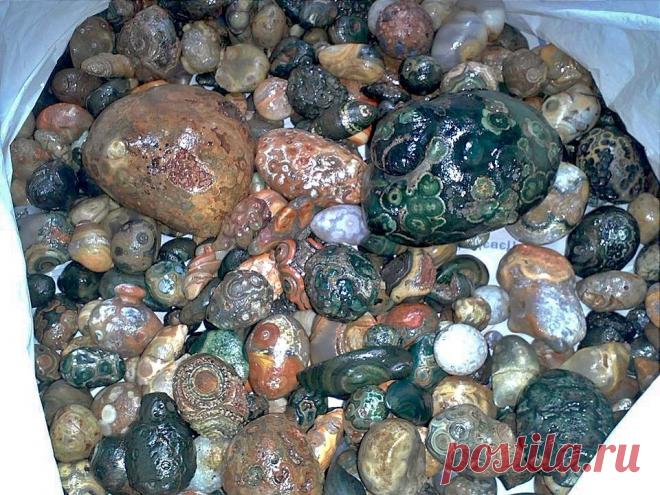 Сергей Колтунов
60 лет, Монголия, Бор-Ундур