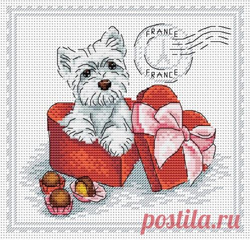 Такая вот прекрасная идея для любителей собак и не только! Из инета.