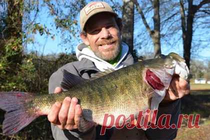 Рыбак побил державшийся 45 лет рекорд по рыбной ловле. В американском штате Джорджия рыбак побил рекорд штата по ловле мелководных окуней, который держался с 1977 года. Джозеф Мэтью Макуортер из Алабамы поймал рекордную рыбу, когда рыбачил на реке Чаттахучи недалеко от города Колумбус в Джорджии. Вес окуня составил 3,77 килограмма.