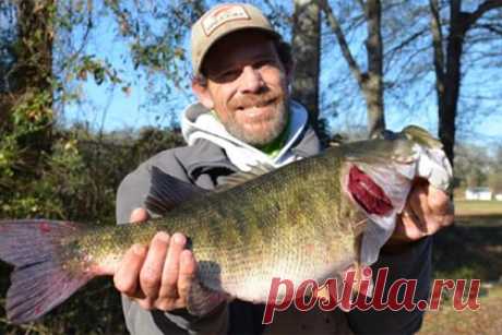 Рыбак побил державшийся 45 лет рекорд по рыбной ловле. В американском штате Джорджия рыбак побил рекорд штата по ловле мелководных окуней, который держался с 1977 года. Джозеф Мэтью Макуортер из Алабамы поймал рекордную рыбу, когда рыбачил на реке Чаттахучи недалеко от города Колумбус в Джорджии. Вес окуня составил 3,77 килограмма.