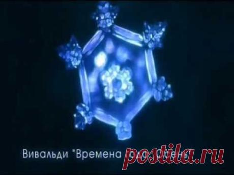 Лечение живой водой |